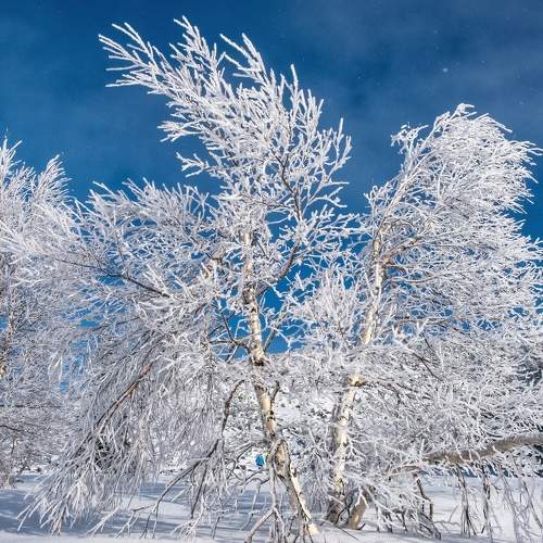 Photo #8910587