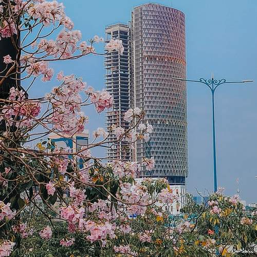 Photo #8910628