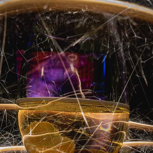 Photo #8910643