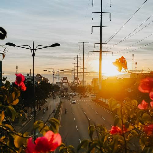 Photo #8910659
