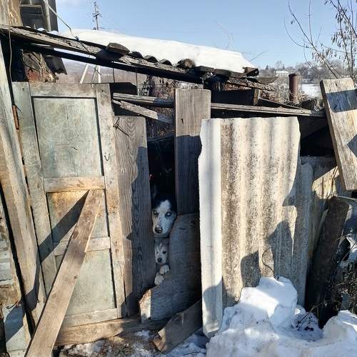 Photo #8910681