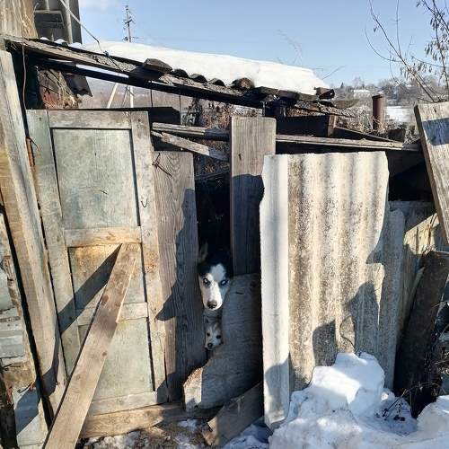 Photo #8910684