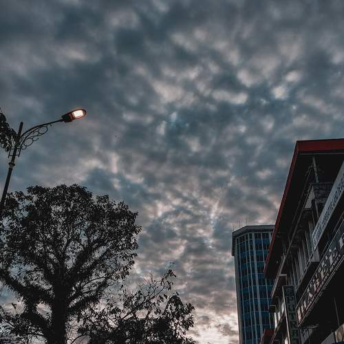 Photo #8910697