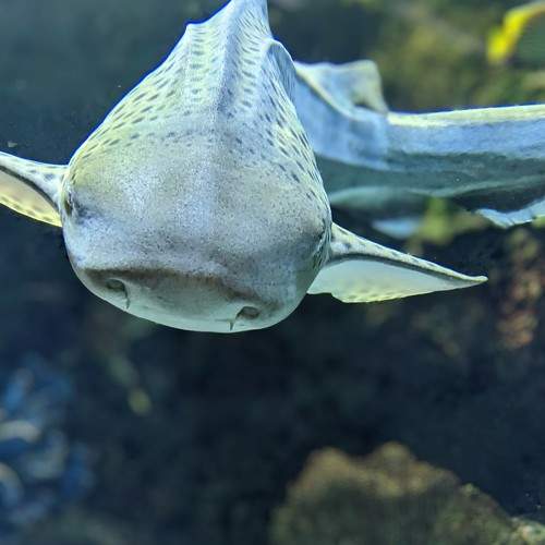 Photo #8910708