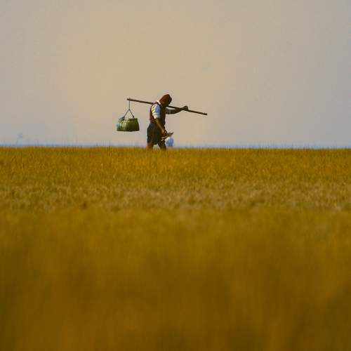 Photo #8910756