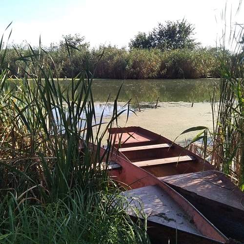 Photo #8910780