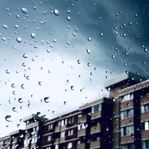 Photo #8910919
