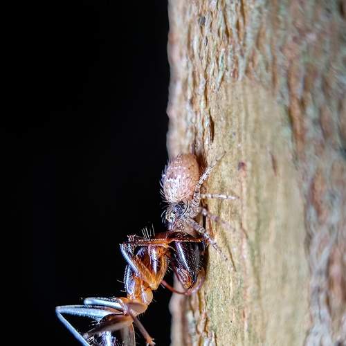 Photo #8911019