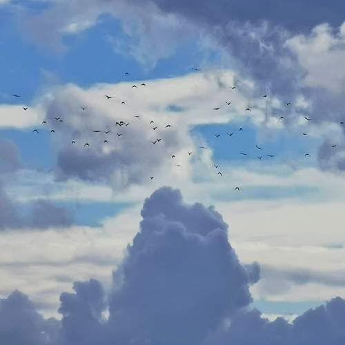 Photo #8911139