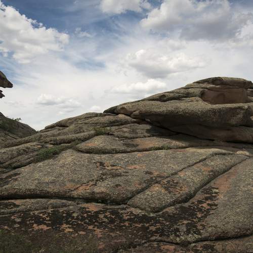 Photo #8911637