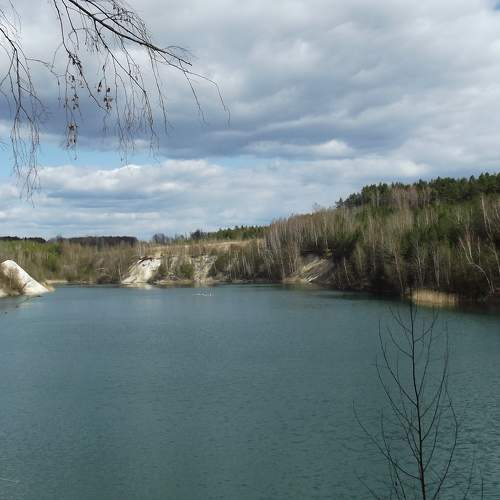 Photo #8911653