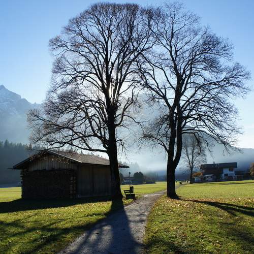 Photo #8911766