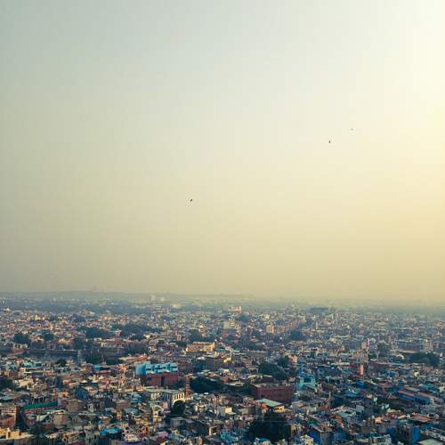Photo #8911903