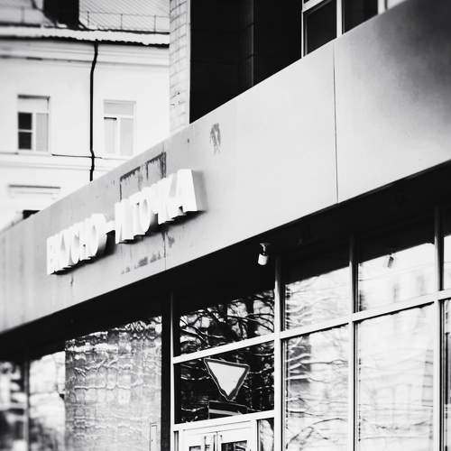 Photo #8911986