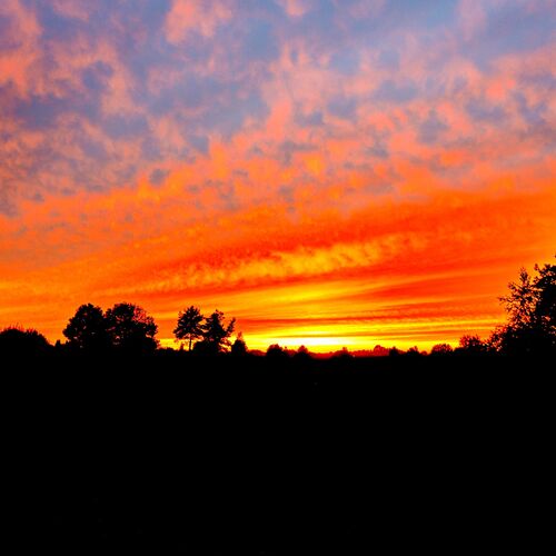 Photo #8912050
