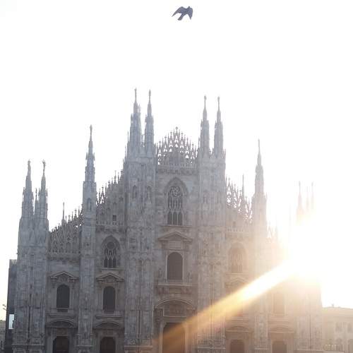 Photo #8912165