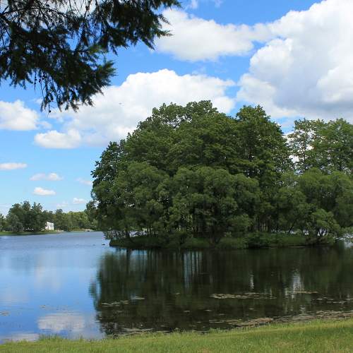 Photo #8912209