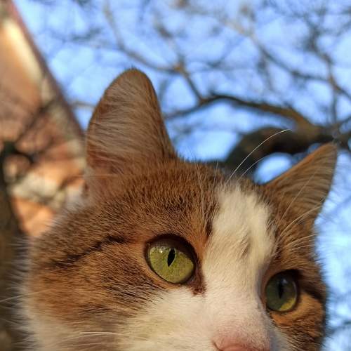 Photo #8912217