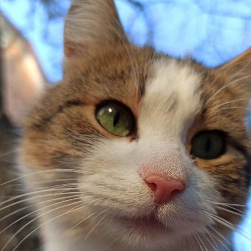 Photo #8912219