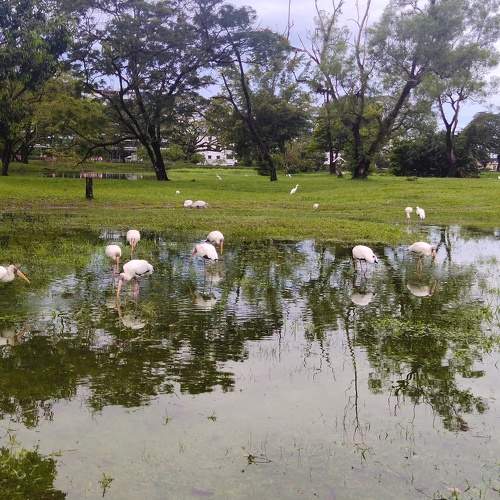 Photo #8912330