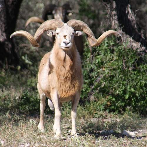 Photo #8912601