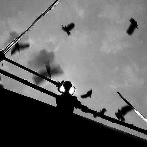 Photo #8912631