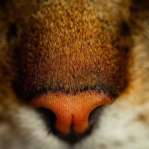 Photo #8912655