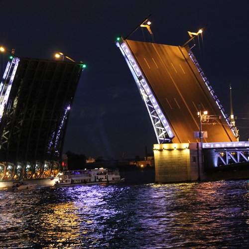 Photo #8912700