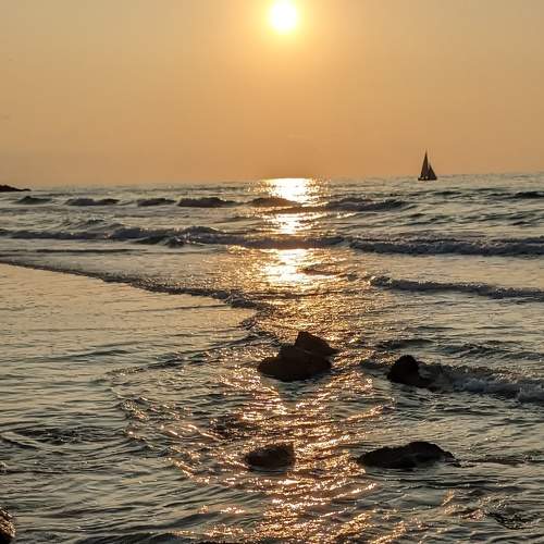 Photo #8912723