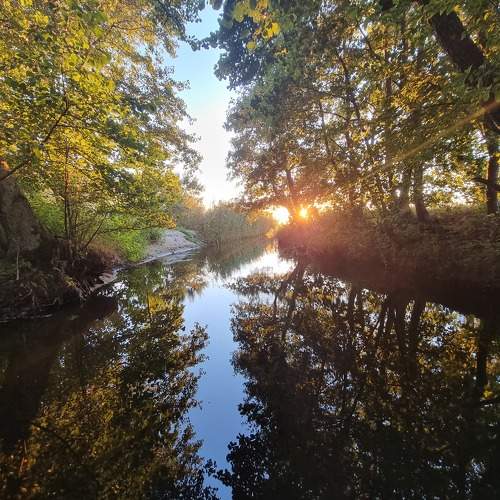 Photo #8912835