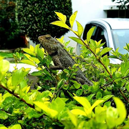 Photo #8912898