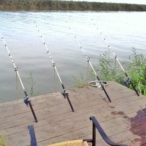 Photo #8913134