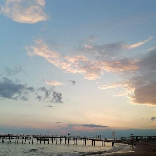 Photo #8913230