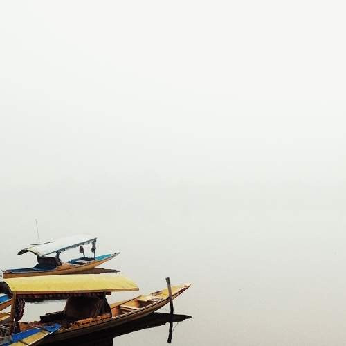 Photo #8913264