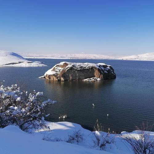 Photo #8913334