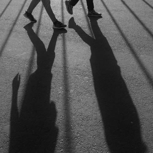 Shadow