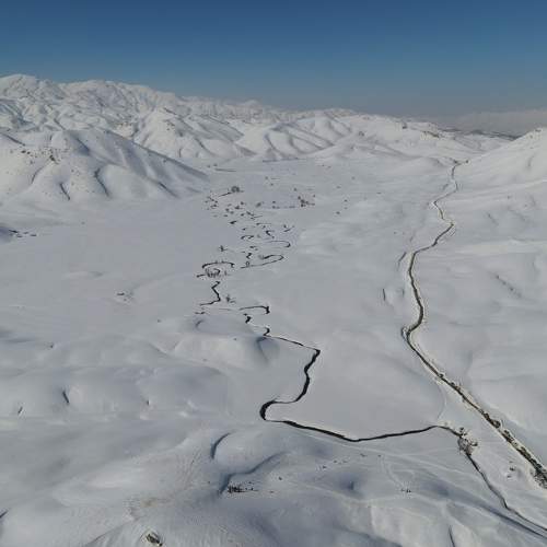 Photo #8913639