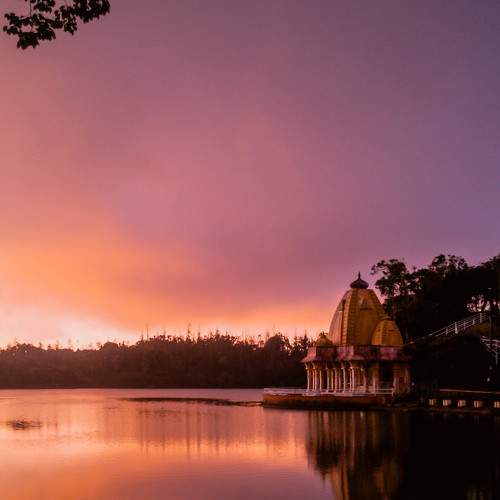 Photo #8913652