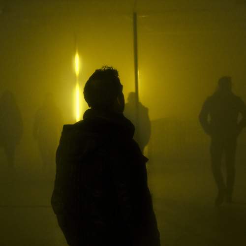 Photo #8913756