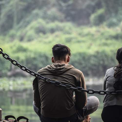 Photo #8913810