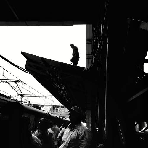 Photo #8913901