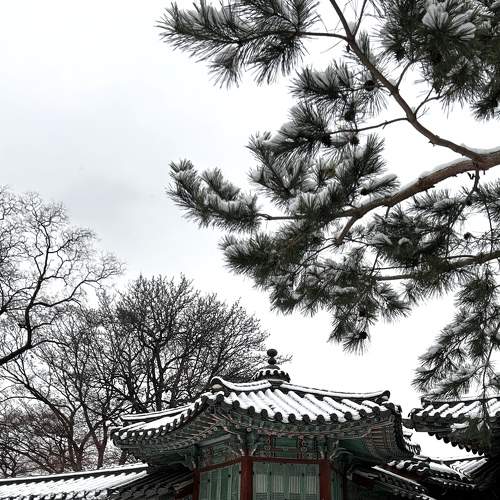 Pavilion