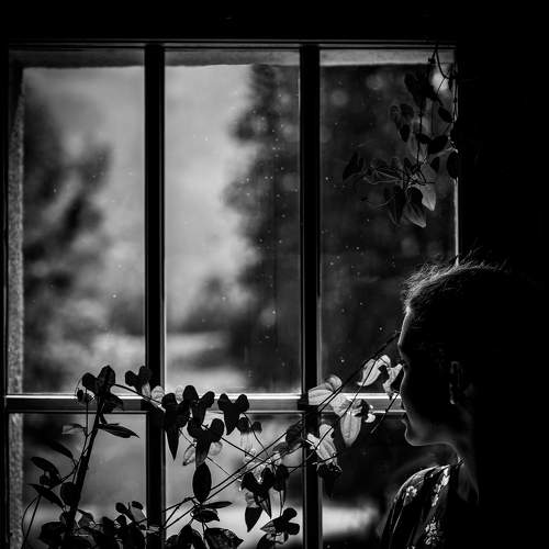 Dreaming