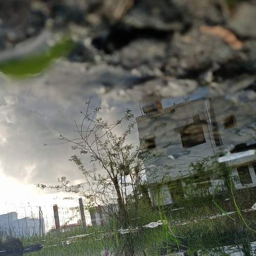 Photo #8914309