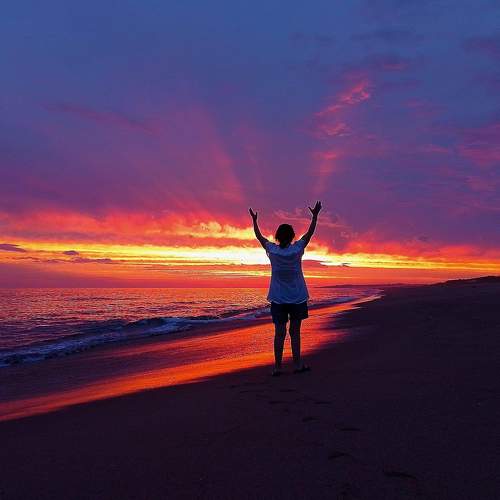 Photo #8914445
