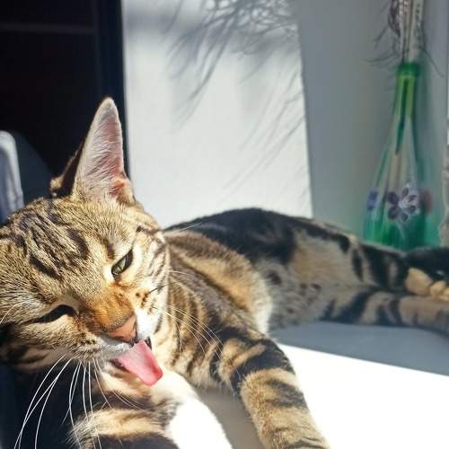 Photo #8914520