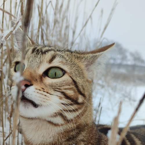 Photo #8914610
