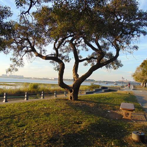 Photo #8914707