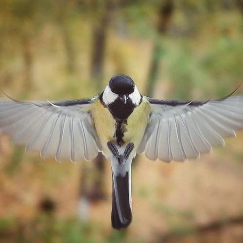 Photo #8914748