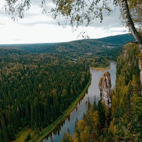 Photo #8914889